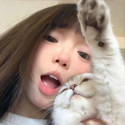 推特共和国